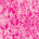 Candy Crush and Pink Fashun Print